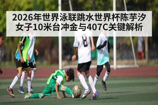 2026年世界泳联跳水世界杯陈芋汐女子10米台冲金与407C关键解析